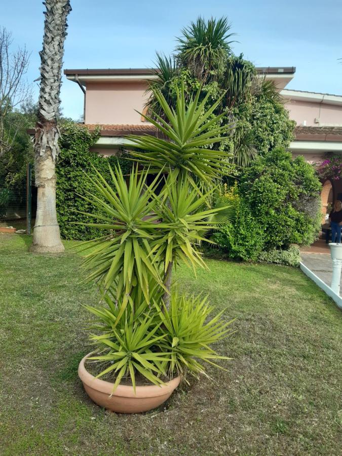 B&B Villa Giovanni Casal Palocco Kültér fotó